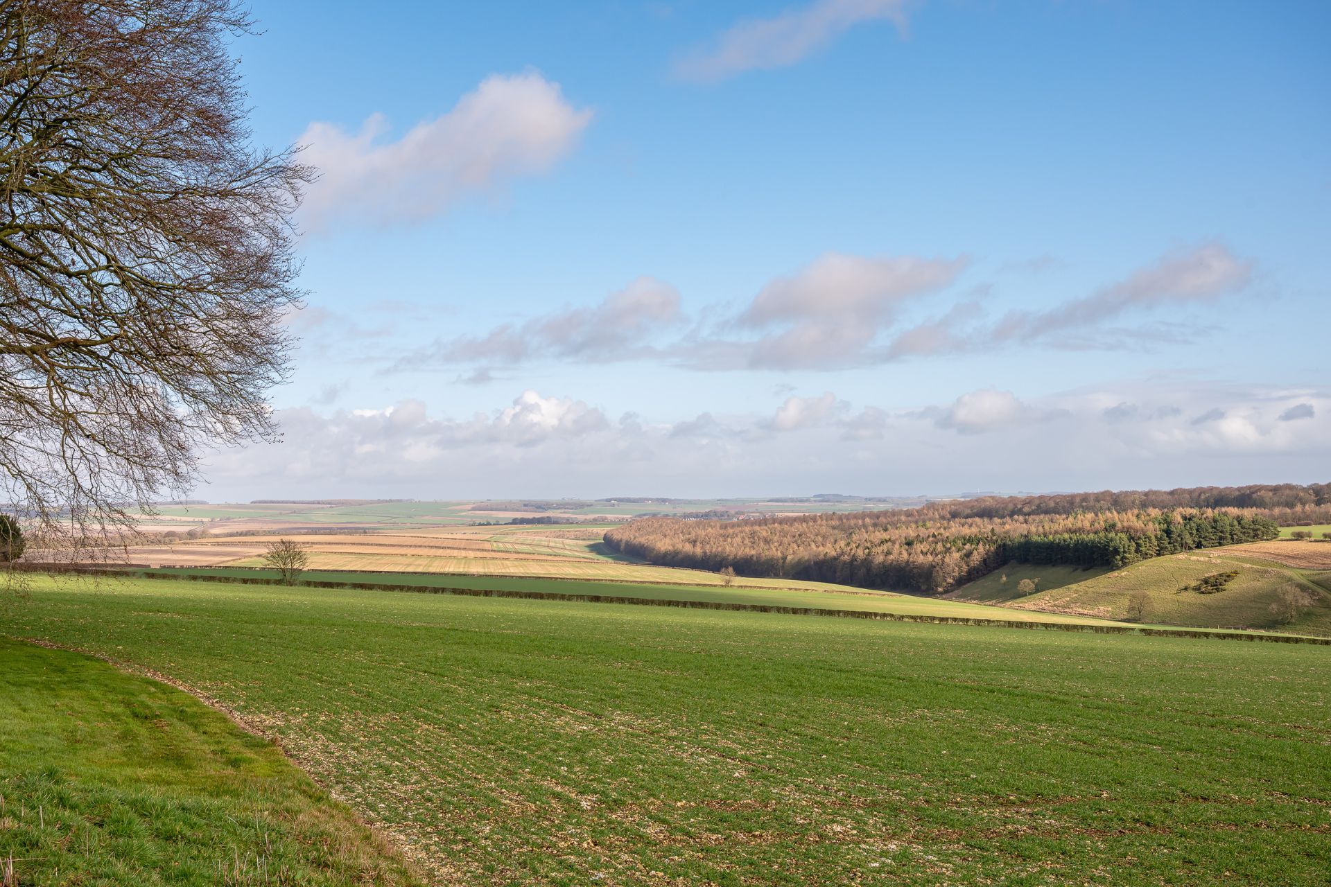 The countryside surrounding at Blacksmith's Shop, Yorkshire