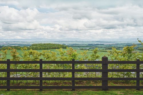 Ayrshire View