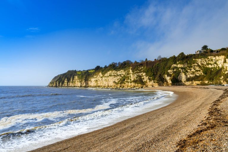Beer Beach