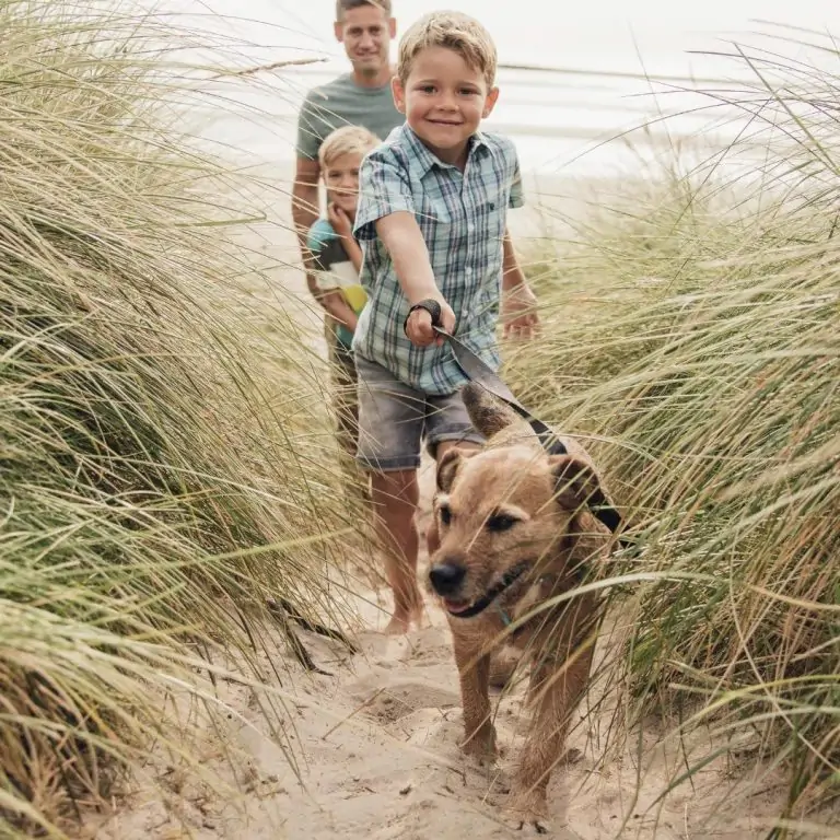 Dog-Friendly Cottages At Easter
