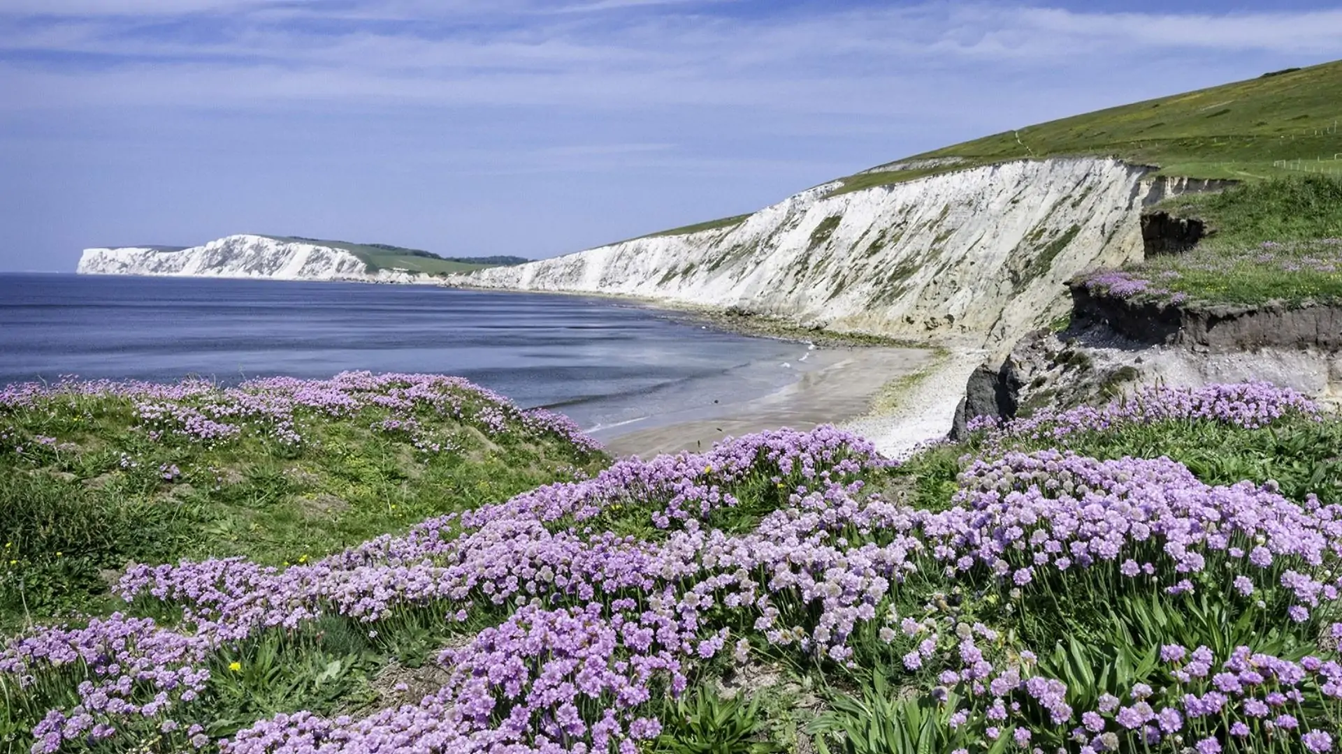 Cliffs on the Isle Of Wight