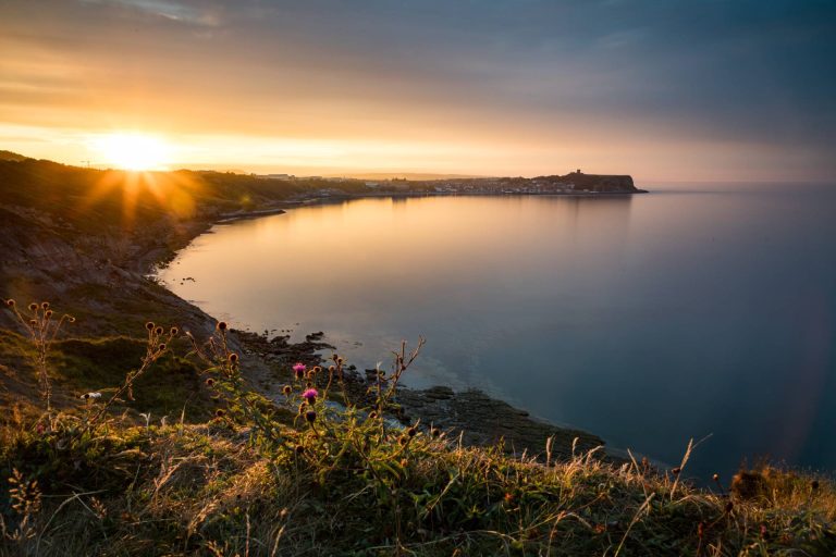 A bay in Scarborough